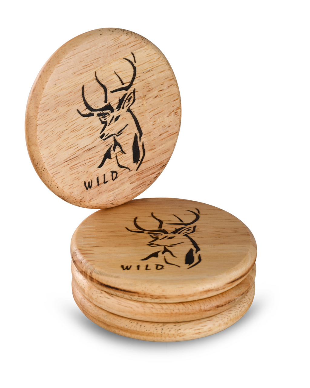 Coaster || Wild Themed