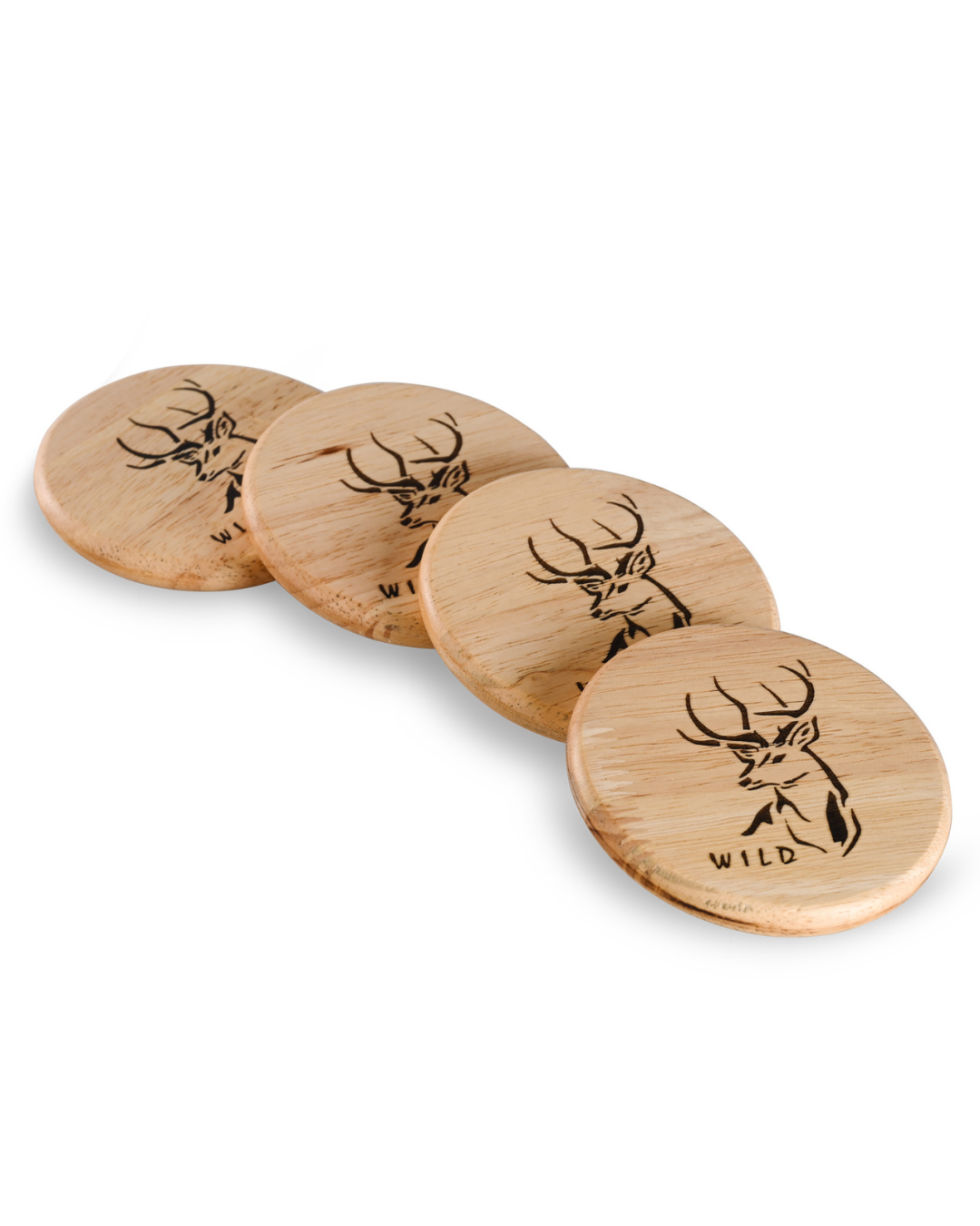 Coaster || Wild Themed